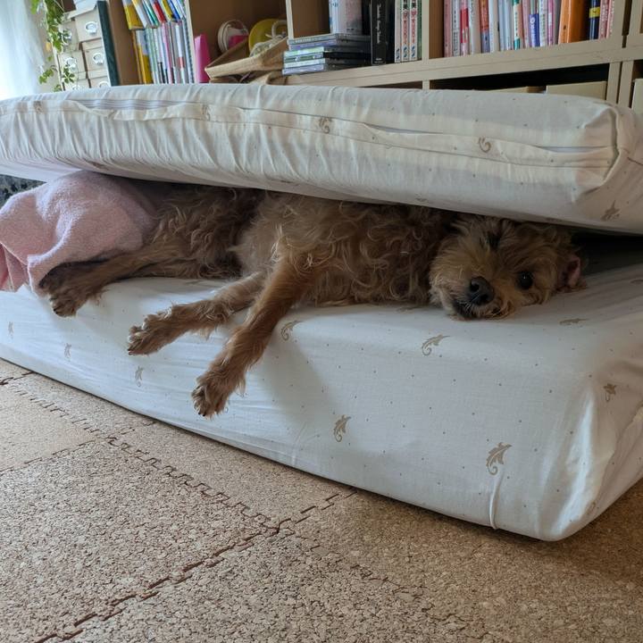 E611c127 432f 4bdc 965a c89c76190d5b 1726183362233