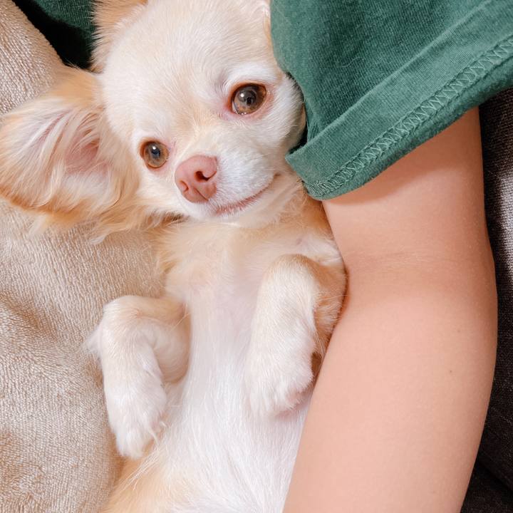 E611dabb 9a15 45bc 9c83 c1b7505ca0c7 1658584398402