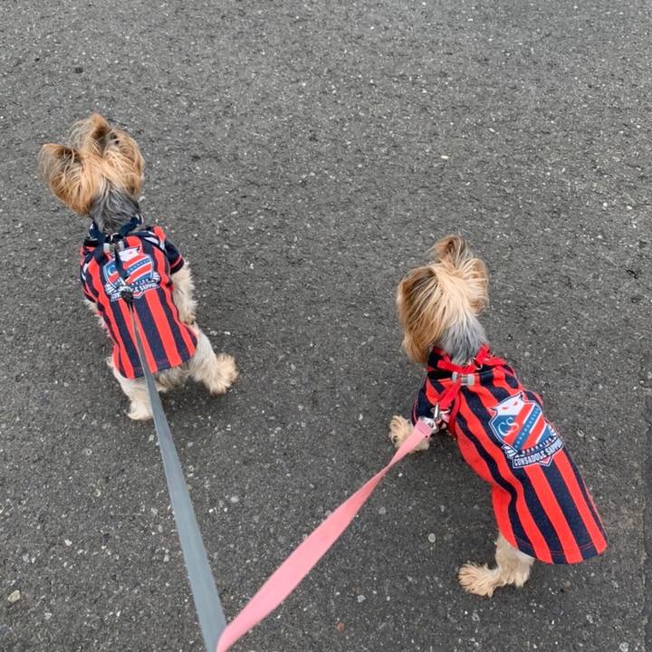 E611e541 fb20 4850 86a1 677e7d5e4c05 1633513931593