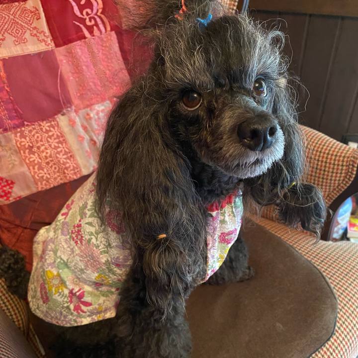 E611ec40 4b85 4728 9f23 0aa41dd947dd 1693188821249