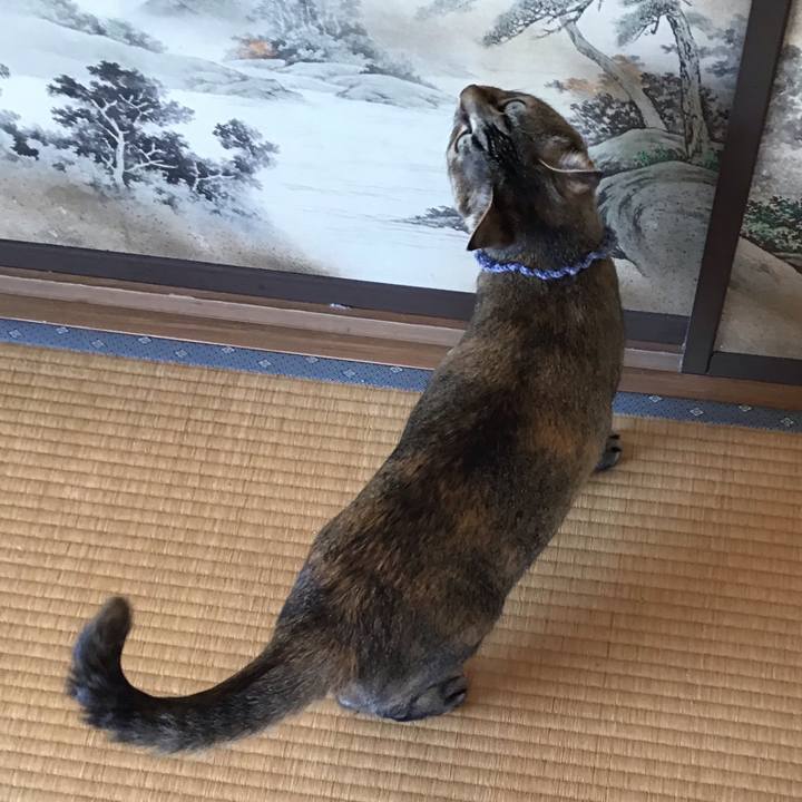 E611f366 a83b 4614 b04f 15b4b0585688 1616735756748