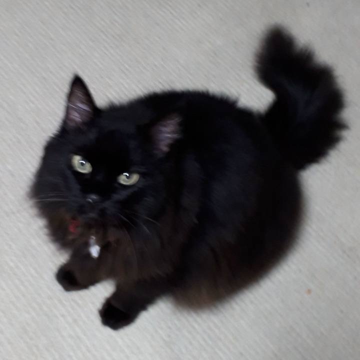 E611f607 d504 49eb a594 e9d42aecb298 1534335741923