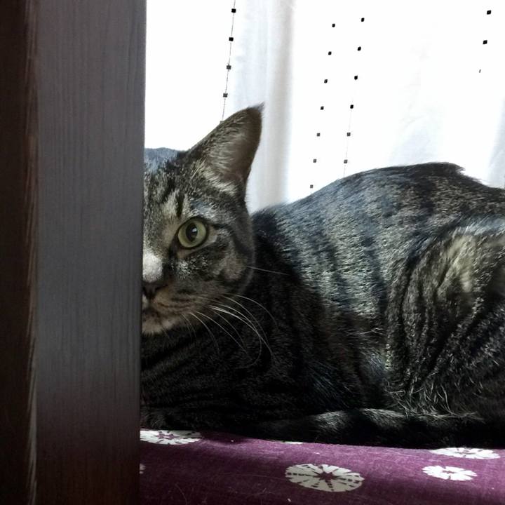 E612076c c26b 4352 ac42 0f6cec13e656 1575427155811