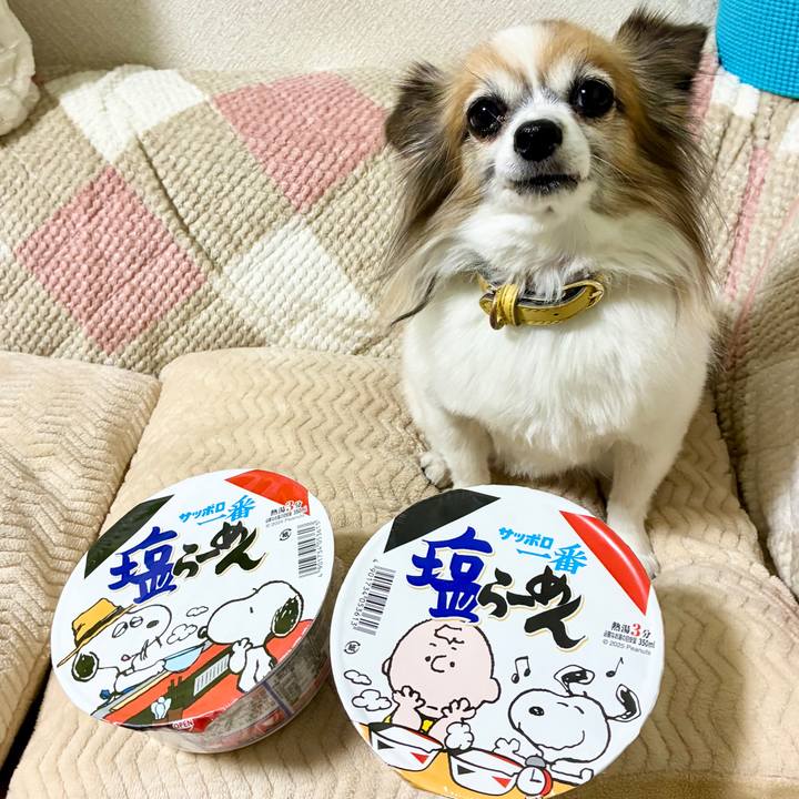 E6120a26 4071 44a3 afc2 768637bea5a5 1766942417661