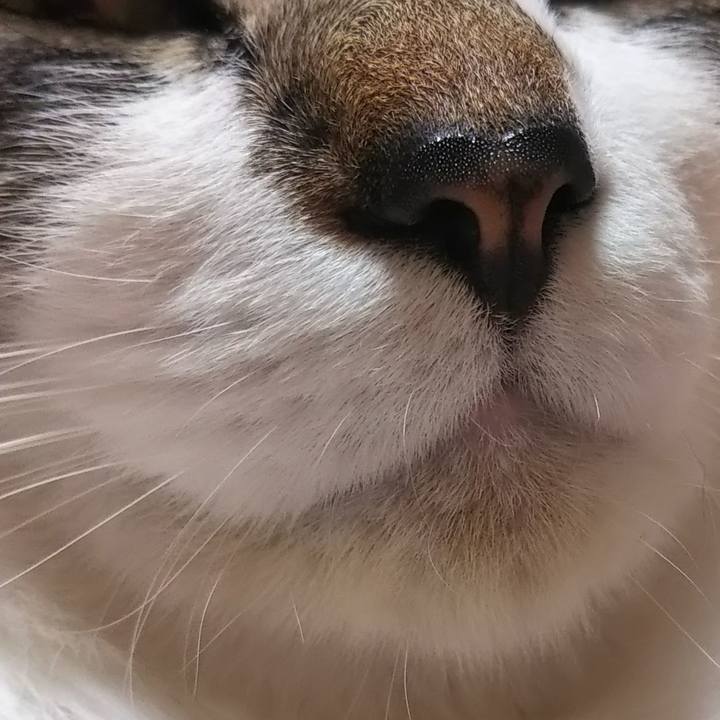 E6120c5f d320 4c7d aa49 daa64bd9f1a2 1619705569886