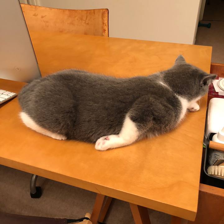 E61278b9 3d46 4544 a800 c6459abab59d 1516596000338