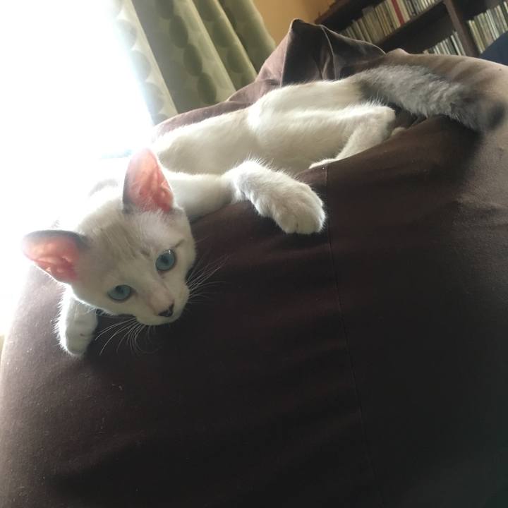 E6128dff a259 4e65 8214 c67938bbe03a 1534645701119