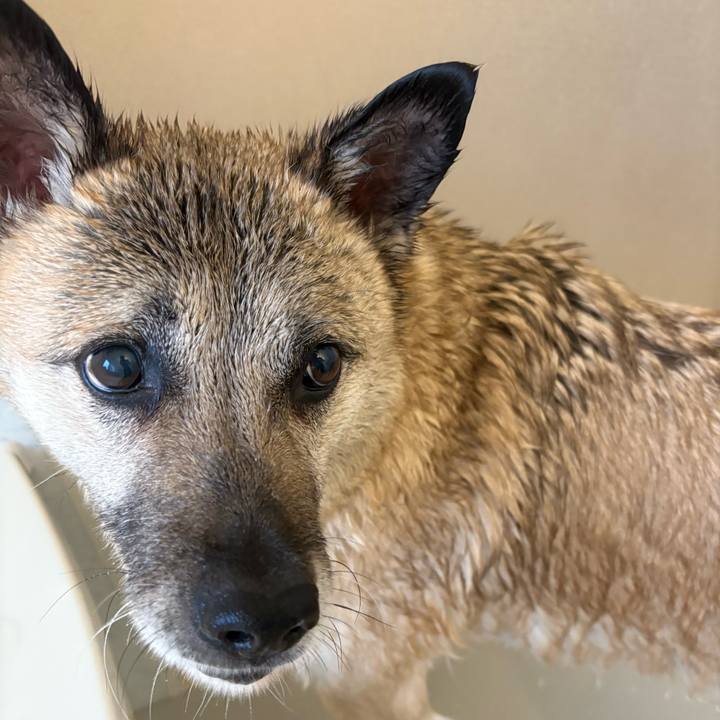 E6129964 7de4 44bf bcc8 c4c70c6cbc8c 1742034245924