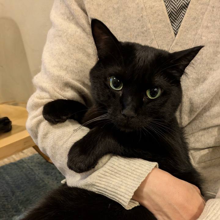 E6129e71 e9da 477c bd1b f8571b98cef3 1762310990640