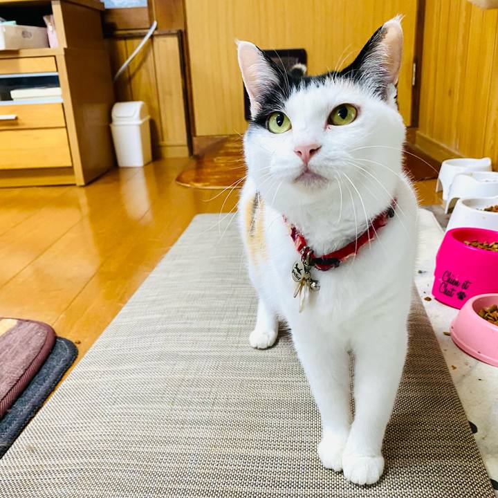 E612c4f3 efe7 4baf 9bf3 b994dfaa9736 1751517839832