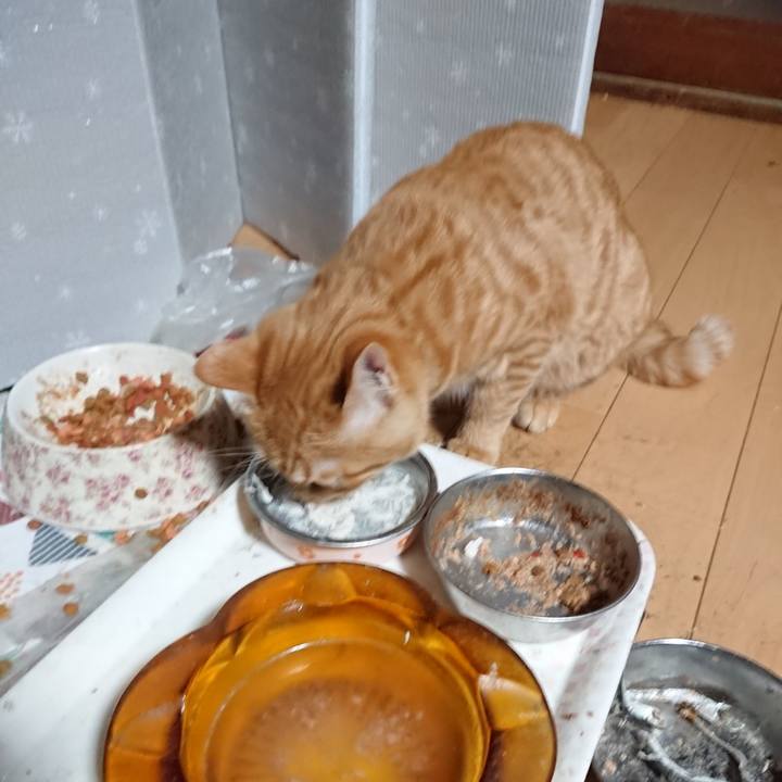 E612fca2 d17e 46ce 949c 796096ea9f57 1638999612491