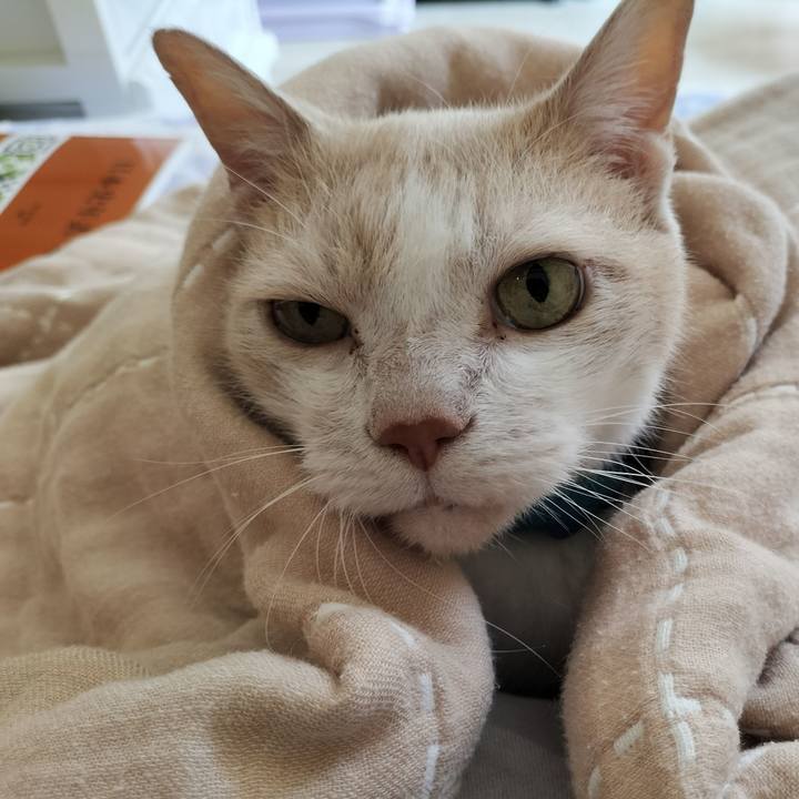 E6130a40 6dd5 489f 9309 fd081de5d644 1656130273655