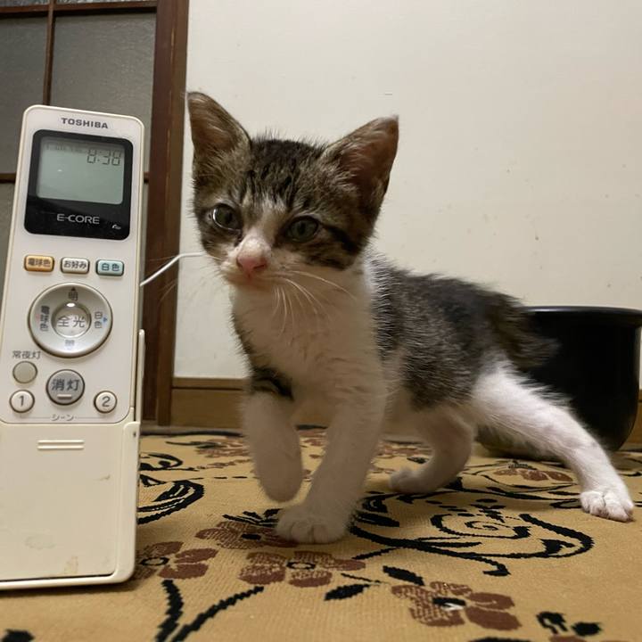 E6131293 23ec 4596 afba 9dc07faa797a 1720393560113