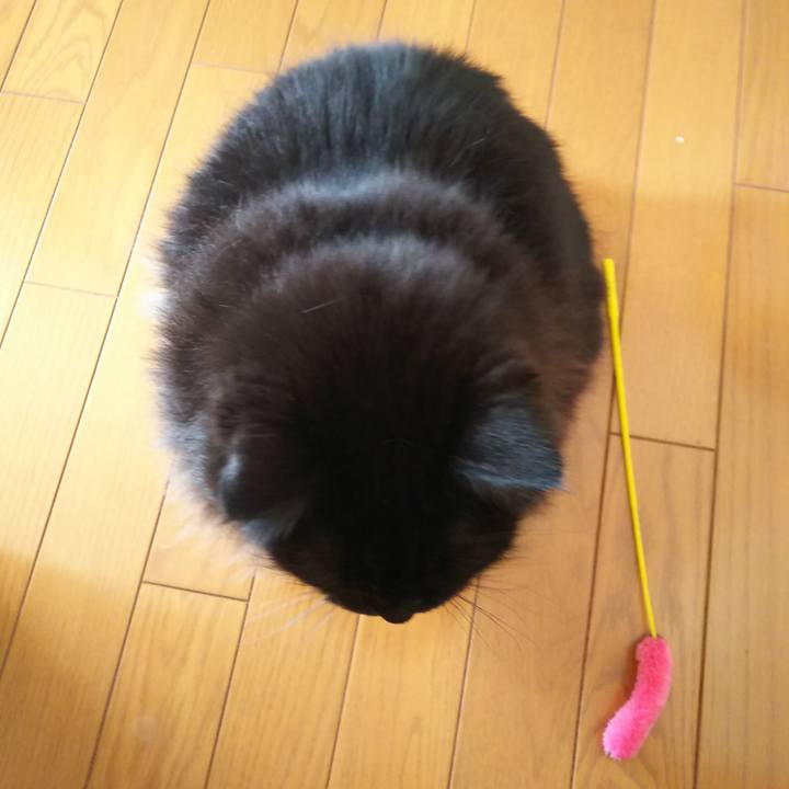 E613440f 3828 4546 a7e0 413515ab91a7 1575686334994