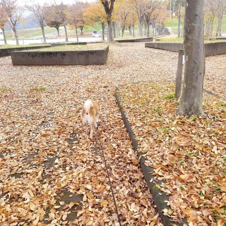 E613593c 2845 4691 980b ca6fc63bffca 1635917963556