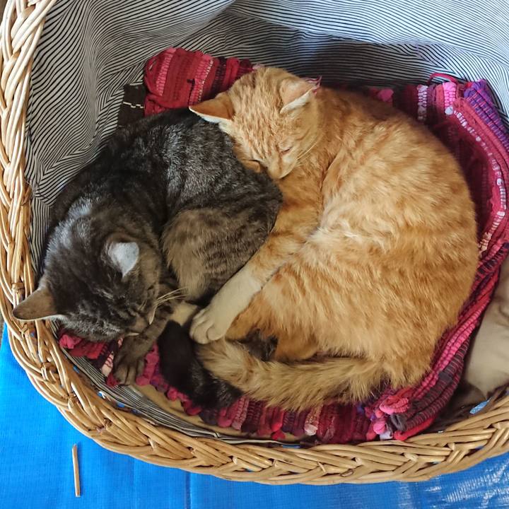 E613e842 aeb7 4d86 8eff 11f2844afa19 1558247682815