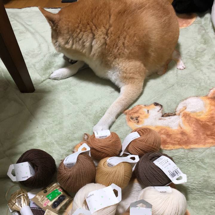 E6140ec6 b249 4b1e 908e a6fbbc4f2ff5 1606799427323