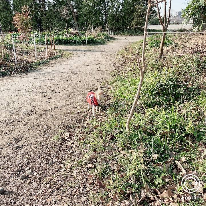 E61489c6 27f2 42bf 9517 e815ad89f100 1608279699733