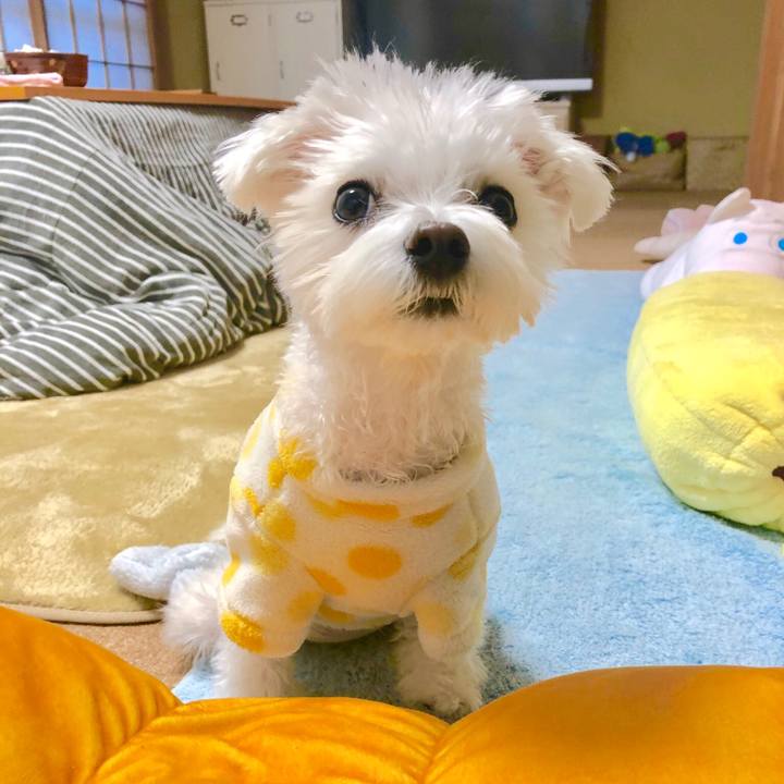 E614c600 2a42 46dc 9ae7 c94376918850 1547173510709