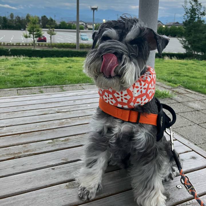 E614dc01 a3ea 4195 9483 049e9bad85e1 1720360290851