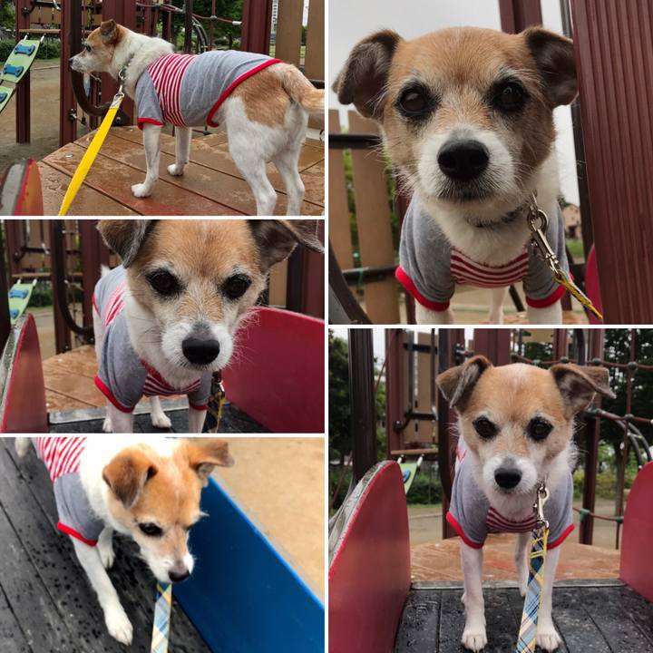 E614de43 bbbf 461f ad27 5416dbd01407 1621388747394