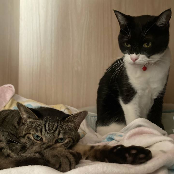 E614f3e4 3ded 4767 8f58 d4c752d2ad4f 1638418547153