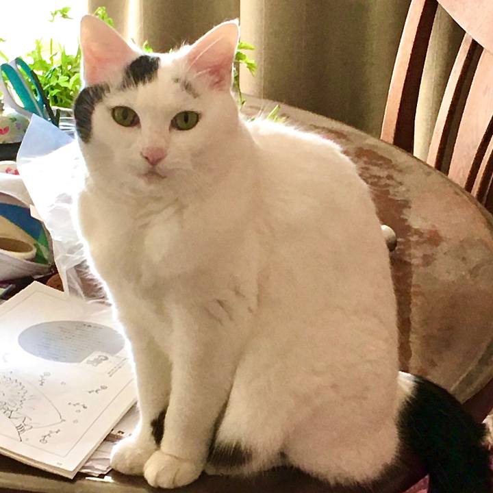 E6151788 e33a 448b b0e4 056c0b3988c7 1576224794079