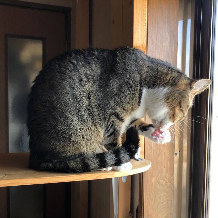 E6153782 35f2 461d a3e1 e7cdae3386e7 1612660879503