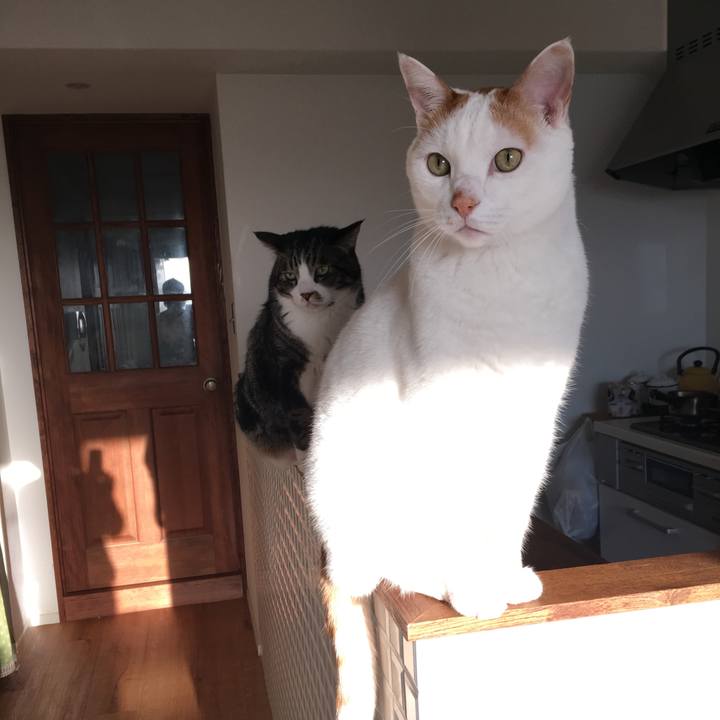 E61566fc a94a 4d30 9f21 27e38193825d 1513812657706