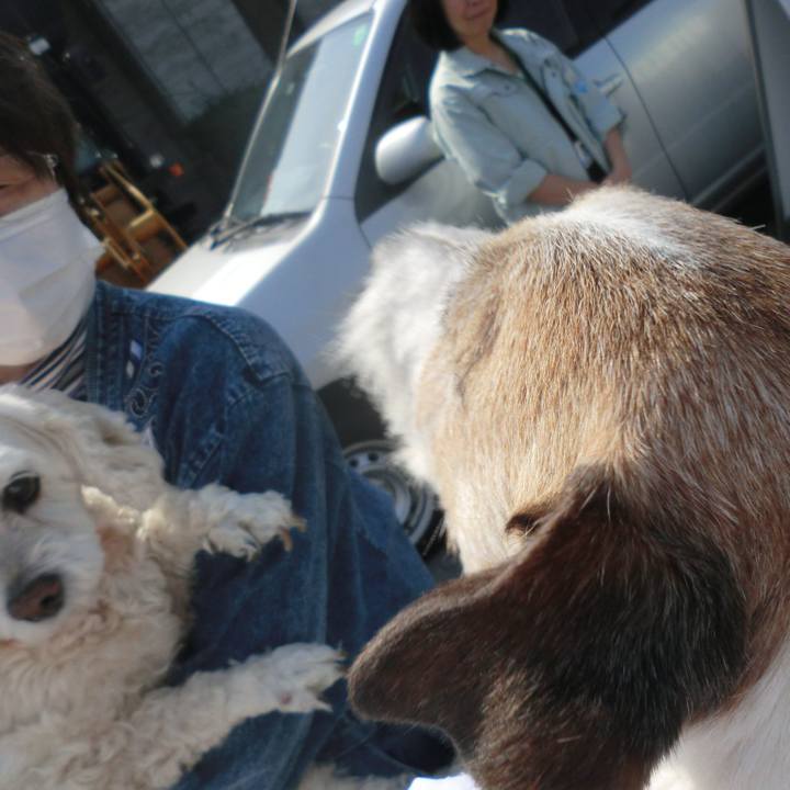 E615a840 95b7 43bf 920f 15ca5f53840d 1522761652943