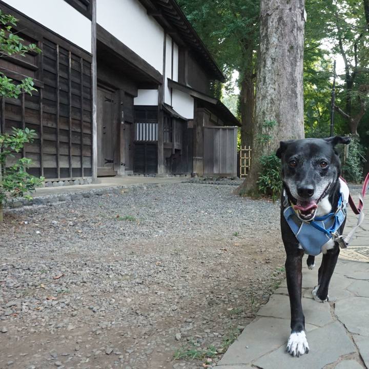 E615b967 c3ca 4dff 9e93 df8f4210b28f 1755819824568