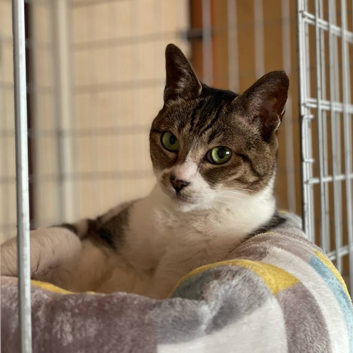 E615c512 aee9 4823 a49d ee21ddcc58c5 1624761822629