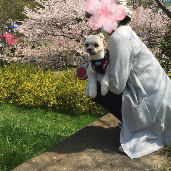 E615d2f9 45d2 4f32 949a cc492ef4a080 1522569649203