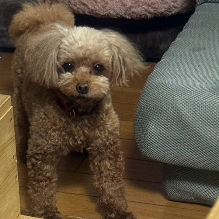 E615d779 1b05 4fac a95b a204b9553d83 1717498163401