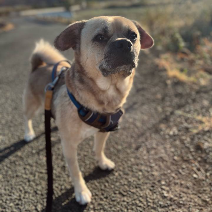 E615d782 7f63 4d60 b4d5 d249381e3ebe 1763107972214