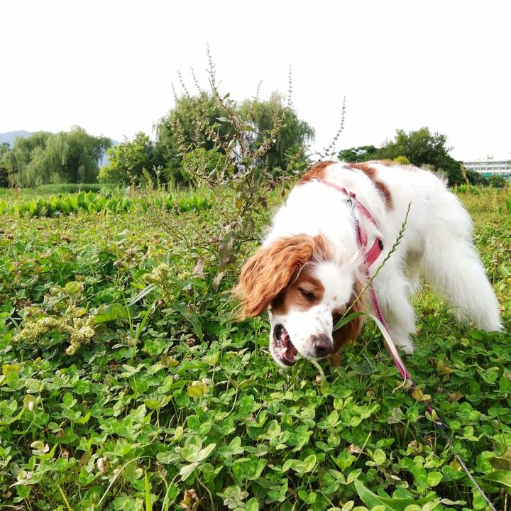 E615f1f6 4f37 4b96 9c6c fd9a7ec3f14f 1622590755168