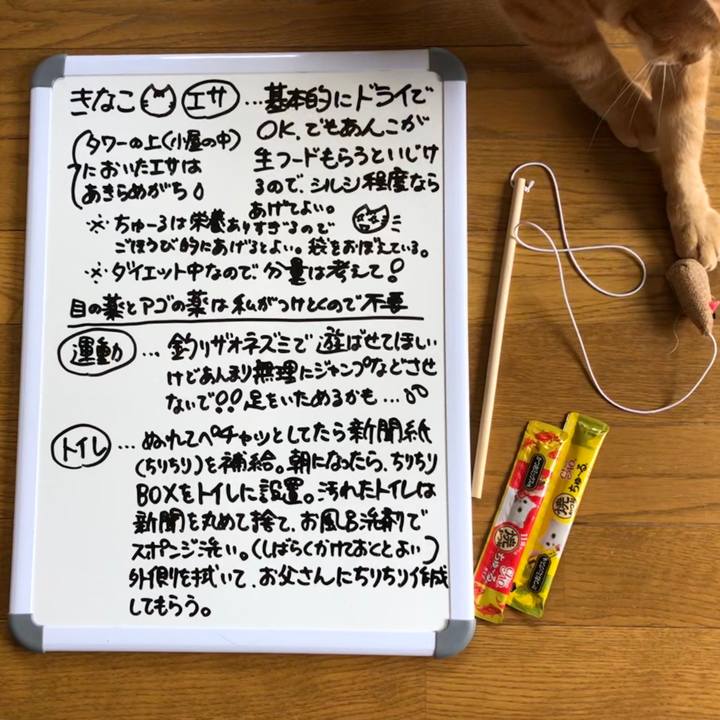 E6161824 8aa0 44cf bb31 2e35d9c7f503 1589178143838