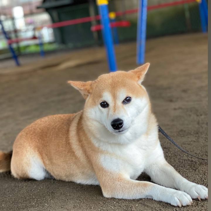 E61621f3 8983 482a a1fc a3b9dec37084 1625786963832