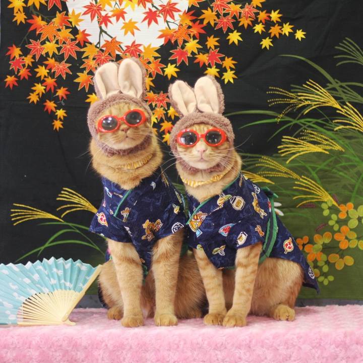 E6162dd3 4ebc 4e19 98dd 289fbd23cd11 1694573093439