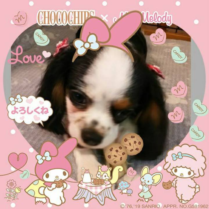 E6164f75 1ccb 4454 a175 8ecaf337e890 1559046823340