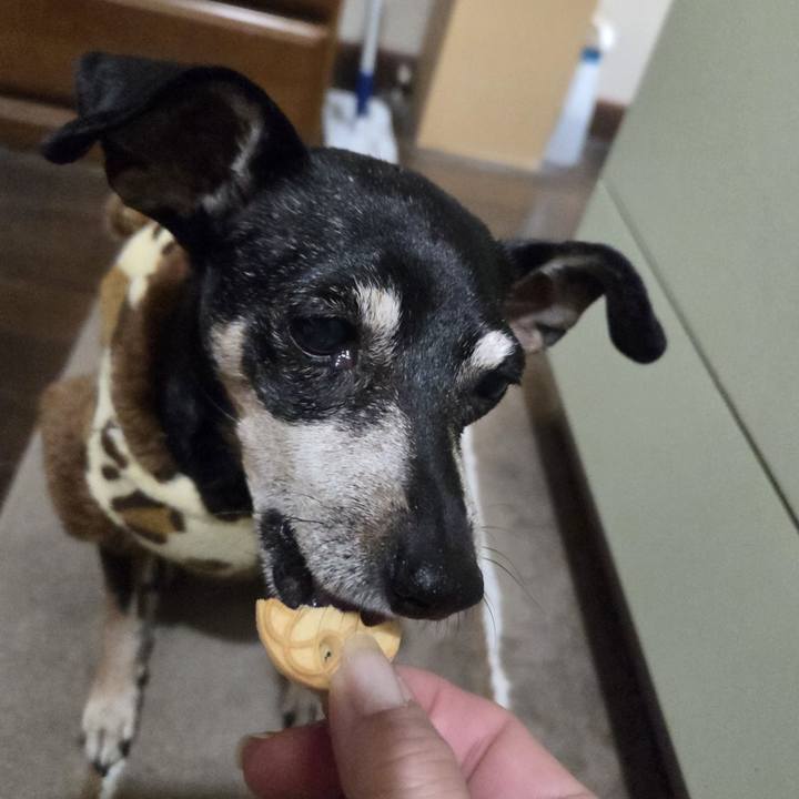 E61661a5 15ed 4693 93a0 8e3566b679fe 1765741653401