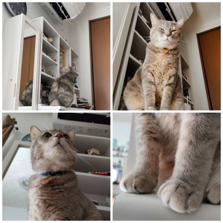 E61683b2 e70b 420f a520 c16eec8d48aa 1634615220846