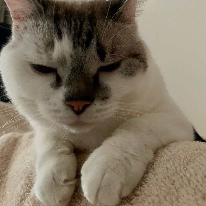 E616bccf 2037 48d6 b049 6e7b659ca73d 1630795317630