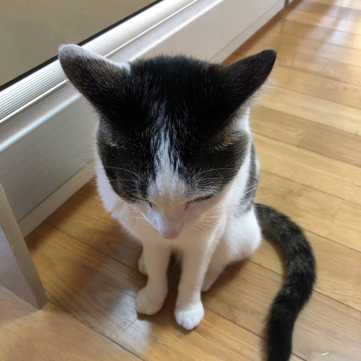 E616c103 439a 45f6 bb9d 0b0cb09bdf06 1623065498920