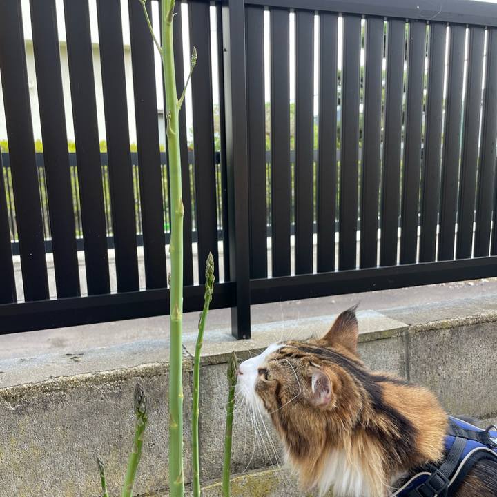 E616da7f 0d17 4e18 ac7e 101350e52747 1651998890905