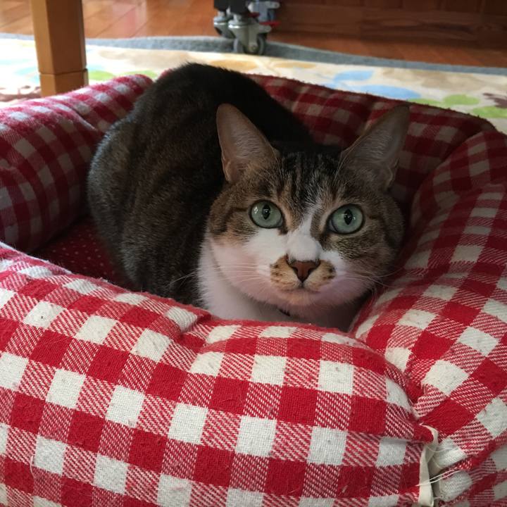 E616e100 90f8 4e9c 99d1 c75c2ab0cc91 1520755815980