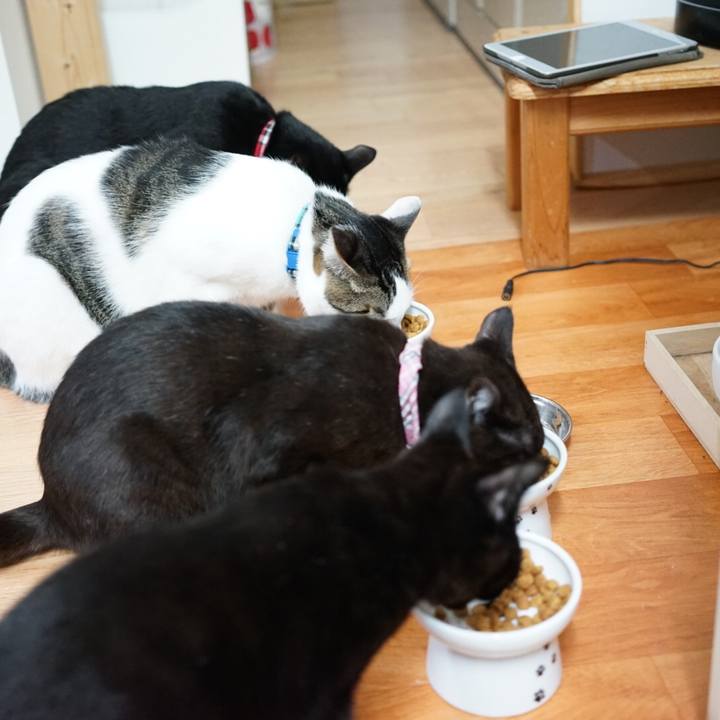 E616e650 c530 4d80 903d b8e9602ca316 1510528990812