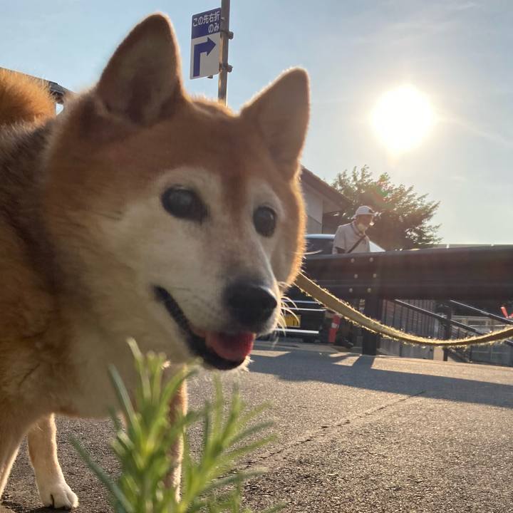 E61744d0 8fa9 45f8 9ada 607a1f54f260 1718804362496