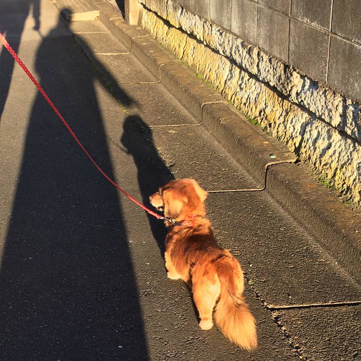 E6178387 54bc 4b6c 9640 2c982401cc69 1603630202133