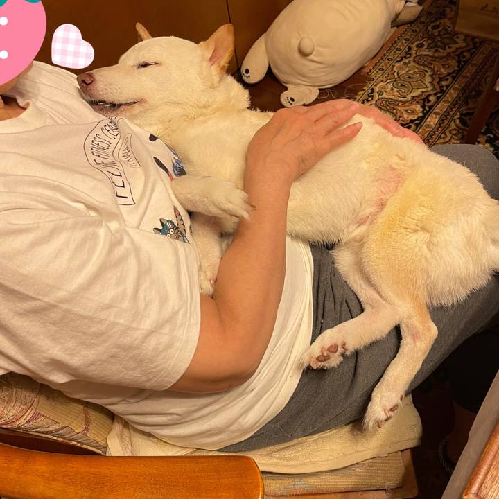 E6178aa3 50df 4ec8 a7ef f979a24c0e53 1657889076407